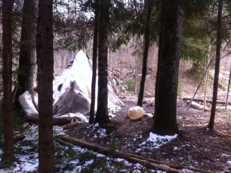 Педофил из Подмосковья прятался в лесу в Тверской области